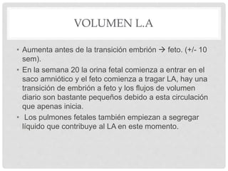 VOLUMEN L.A
• Aumenta antes de la transición embrión  feto. (+/- 10
sem).
• En la semana 20 la orina fetal comienza a entrar en el
saco amniótico y el feto comienza a tragar LA, hay una
transición de embrión a feto y los flujos de volumen
diario son bastante pequeños debido a esta circulación
que apenas inicia.
• Los pulmones fetales también empiezan a segregar
líquido que contribuye al LA en este momento.
 