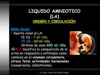 LIQUIDO AMNIOTICO
                  (LA)
             ORIGEN Y CIRCULACIÓN

Riñón Fetal:
• Aporte renal al LA:
       18 SG - 7 ml /día
       25 SG - 60 ml /día
       término de unos 600 ml /día.
•El R.F modifica la composición de la
orina en respuesta a estímulos como:
cambios en el volumen circulatorio,
stress fetal, actividades hormonales
(vasopresina, aldosterona).

                  Est. Med.: Dante Yuri Malca Chunga
 