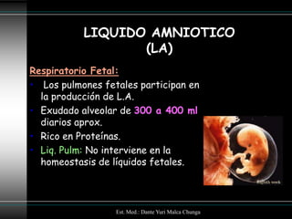 LIQUIDO AMNIOTICO
                  (LA)
Respiratorio Fetal:
• Los pulmones fetales participan en
  la producción de L.A.
• Exudado alveolar de 300 a 400 ml
  diarios aprox.
• Rico en Proteínas.
• Liq. Pulm: No interviene en la
  homeostasis de líquidos fetales.



                  Est. Med.: Dante Yuri Malca Chunga
 