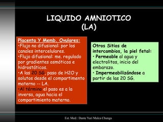 LIQUIDO AMNIOTICO
                    (LA)
Placenta Y Memb. Ovulares:
•Flujo no difusional: por los            Otros Sitios de
canales intercelulares.                  intercambios, la piel fetal:
•Flujo difusional: me. regulado          • Permeable al agua y
por gradientes osmóticos e               electrolitos, inicio del
hidrostáticos.                           embarazo.
•A las 20 SG, paso de H2O y              • Impermeabilizándose a
solutos desde el compartimento           partir de las 20 SG.
materno -- LA.
•Al término el paso es a la
inversa, agua hacia el
compartimiento materno.


                     Est. Med.: Dante Yuri Malca Chunga
 