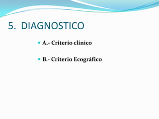 5. DIAGNOSTICO
 A.- Criterio clínico
 B.- Criterio Ecográfico
 