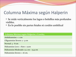 Polihidramnios y oligohidramnios