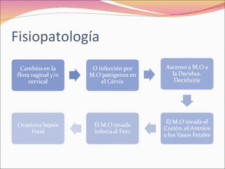 Polihidramnios y oligohidramnios
