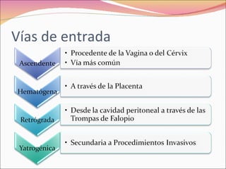 Polihidramnios y oligohidramnios