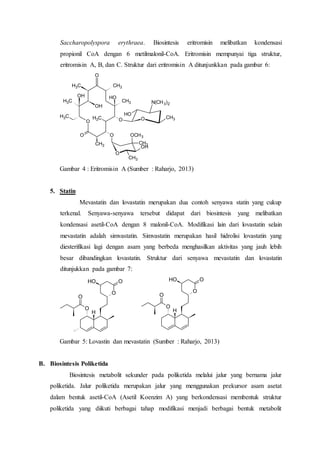 Saccharopolyspora erythraea. Biosintesis eritromisin melibatkan kondensasi
propionil CoA dengan 6 metilmalonil-CoA. Eritromisin mempunyai tiga struktur,
eritromisin A, B, dan C. Struktur dari eritromisin A ditunjunkkan pada gambar 6:
O
CH3
CH3
CH3
CH3
OH
O
O
O
O
CH3
CH3
CH3
OH
O
OH
CH3
OCH3
CH3
O
N(CH3)2
CH3
OH
OH
Gambar 4 : Eritromisin A (Sumber : Raharjo, 2013)
5. Statin
Mevastatin dan lovastatin merupakan dua contoh senyawa statin yang cukup
terkenal. Senyawa-senyawa tersebut didapat dari biosintesis yang melibatkan
kondensasi asetil-CoA dengan 8 malonil-CoA. Modifikasi lain dari lovastatin selain
mevastatin adalah simvastatin. Simvastatin merupakan hasil hidrolisi lovastatin yang
diesterifikasi lagi dengan asam yang berbeda menghasilkan aktivitas yang jauh lebih
besar dibandingkan lovastatin. Struktur dari senyawa mevastatin dan lovastatin
ditunjukkan pada gambar 7:
O
H
O
O
OH O
O
H
O
O
OH O
Gambar 5: Lovastin dan mevastatin (Sumber : Raharjo, 2013)
B. Biosintesis Poliketida
Biosintesis metabolit sekunder pada poliketida melalui jalur yang bernama jalur
poliketida. Jalur poliketida merupakan jalur yang menggunakan prekursor asam asetat
dalam bentuk asetil-CoA (Asetil Koenzim A) yang berkondensasi membentuk struktur
poliketida yang diikuti berbagai tahap modifikasi menjadi berbagai bentuk metabolit
 