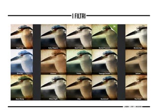 I filtri
g. Babbini - s. Forte - c. Maccaferri
 