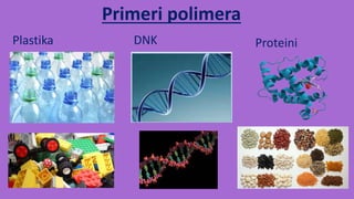 Primeri polimera
Plastika DNK Proteini
 