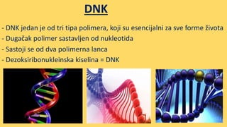 DNK
- DNK jedan je od tri tipa polimera, koji su esencijalni za sve forme života
- Dugačak polimer sastavljen od nukleotida
- Sastoji se od dva polimerna lanca
- Dezoksiribonukleinska kiselina = DNK
 