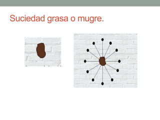 Suciedad grasa o mugre.
 