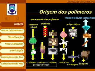 Origem dos polímeros Origem queratina polipeptídeos cartilagem macromoléculas inorgânicas polissacarídeos macromoléculas orgânicas colágeno proteínas celulose amido quitina borracha natural 