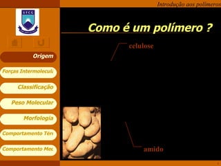 Como é um polímero ? Origem celulose amido 