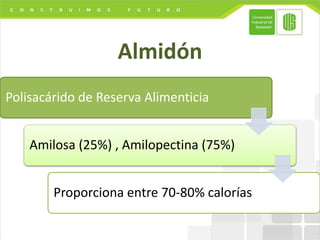Almidón
Polisacárido de Reserva Alimenticia
Amilosa (25%) , Amilopectina (75%)
Proporciona entre 70-80% calorías
 