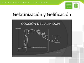 Gelatinización y Gelificación
 