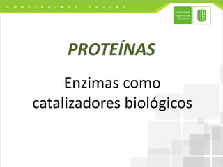 PROTEÍNAS
Enzimas como
catalizadores biológicos
 