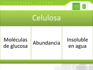 Celulosa
Moléculas
de glucosa
Abundancia
Insoluble
en agua
 