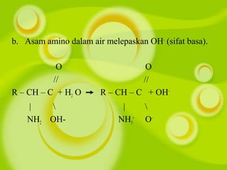 b. Asam amino dalam air melepaskan OH-
(sifat basa).
O O
// //
R – CH – C + H2 O R – CH – C + OH➙ -
|  | 
NH2 OH- NH3
+
O-
 