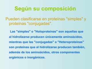 Según su composición   Pueden clasificarse en proteínas "simples" y proteínas "conjugadas". Las "simples" o "Holoproteínas" son aquellas que al hidrolizarse producen únicamente aminoácidos, mientras que las "conjugadas" o "Heteroproteínas" son proteínas que al hidrolizarse producen también, además de los aminoácidos, otros componentes orgánicos o inorgánicos.  