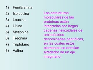 1)    Fenilalanina  2)    Isoleucina 3)    Leucina 4)    Lisina         5)    Metionina          6)    Treonina 7)    Triptófano 8)    Valina Las estructuras moleculares de las proteínas están integradas por largas cadenas helicoidales de aminoácidos denominadas peptídicas, en las cuales estos elementos se enrollan alrededor de un eje imaginario. 