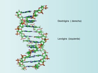 Dextrógira  ( derecha) Levógira  (izquierda)  