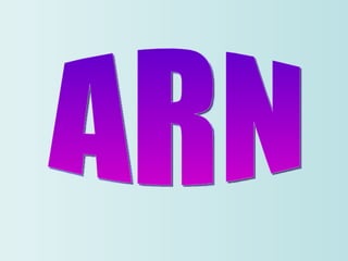 ARN 