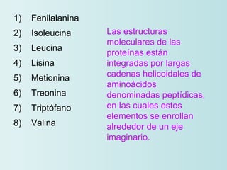 <ul><li>1)    Fenilalanina  </li></ul><ul><li>2)    Isoleucina </li></ul><ul><li>3)    Leucina </li></ul><ul><li>4)    Lis...
