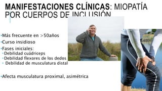 MANIFESTACIONES CLÍNICAS: MIOPATÍA
POR CUERPOS DE INCLUSIÓN
•Más frecuente en >50años
•Curso insidioso
•Fases iniciales:
 Debilidad cuádriceps
 Debilidad flexores de los dedos
 Debilidad de musculatura distal
•Afecta musculatura proximal, asimétrica
 