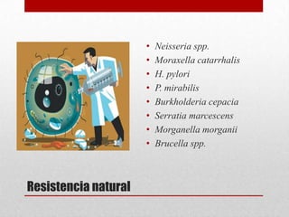 •   Neisseria spp.
                      •   Moraxella catarrhalis
                      •   H. pylori
                      •   P. mirabilis
                      •   Burkholderia cepacia
                      •   Serratia marcescens
                      •   Morganella morganii
                      •   Brucella spp.



Resistencia natural
 