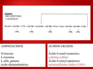 DECAPÉPTIDO
   CATIONICO




AMINOACIDOS             ACIDOS GRASOS

D-leucina               Ácido 6-metil-octanoico:
L-treonina              colistina sulfato
L-alfa, gamma           Ácido 6-metyl-eptanoico:
ácido diaminobutírico   metansulfonato sódico (1961)
 