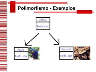 Polimorfismo - Exemplos 