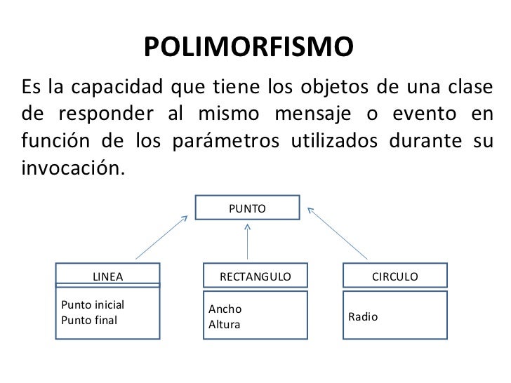 Polimorfismo