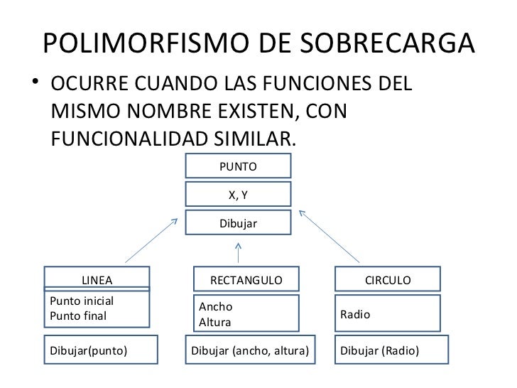 Polimorfismo