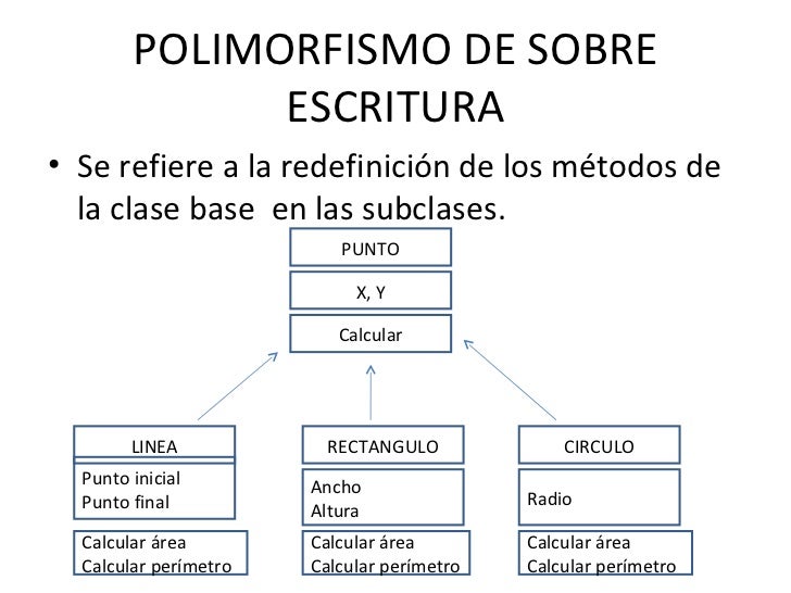 Polimorfismo