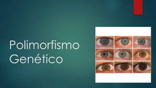 Polimorfismo
Genético
 