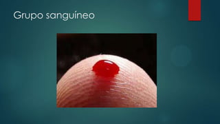 Grupo sanguíneo
 