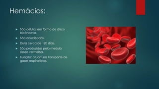 Hemácias:
 São células em forma de disco
bicôncavo.
 São anucleadas.
 Dura cerca de 120 dias.
 São produzidas pela medula
óssea vermelha.
 Função: atuam no transporte de
gases respiratórios.
 