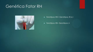 Genética Fator RH
 Fenótipos: RH+ Genótipos: Rr e r
 Fenótipos: RH- Genótipos: rr
 