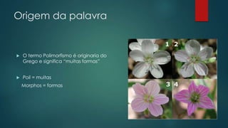 Origem da palavra
 O termo Polimorfismo é originaria do
Grego e significa “muitas formas”
 Poli = muitas
Morphos = formas
 