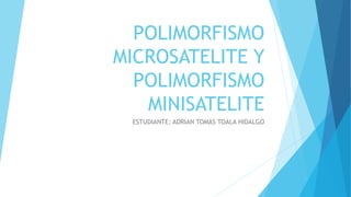 POLIMORFISMO
MICROSATELITE Y
POLIMORFISMO
MINISATELITE
ESTUDIANTE: ADRIAN TOMAS TOALA HIDALGO
 
