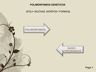 POLIMORFISMOS GENETICOS

(POLI= MUCHAS, MORFOS= FORMAS)




POLIMORFISMOS




                                BASES
                            NITROGENADAS




      Free Powerpoint Templates            Page 1
 