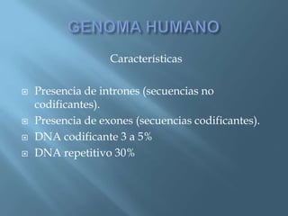 Polimorfismos Geneticos