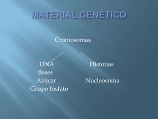 Polimorfismos Geneticos