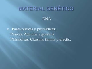 Polimorfismos Geneticos