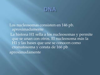 Polimorfismos Geneticos