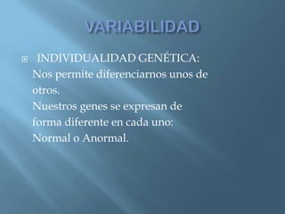 Polimorfismos Geneticos