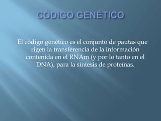 Polimorfismos Geneticos