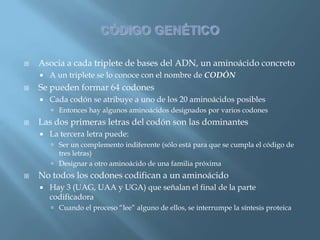 Polimorfismos Geneticos