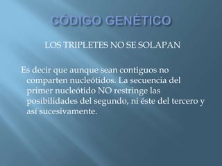 Polimorfismos Geneticos