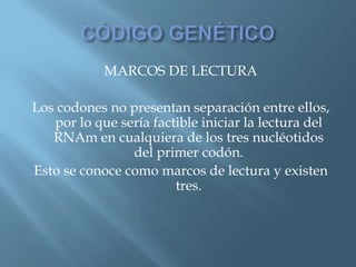 Polimorfismos Geneticos