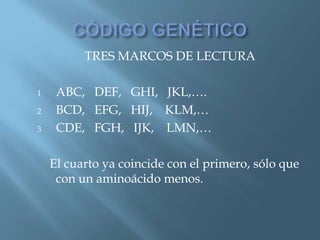 Polimorfismos Geneticos