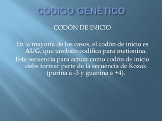 Polimorfismos Geneticos